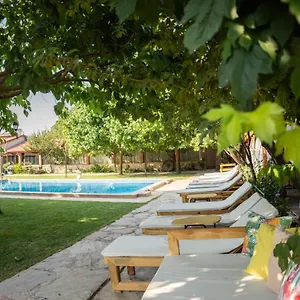 3* Otel Mogla Tashan